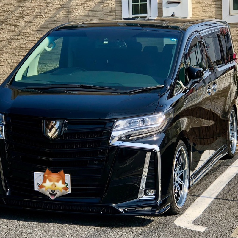 TAKENOUCHI アルフ