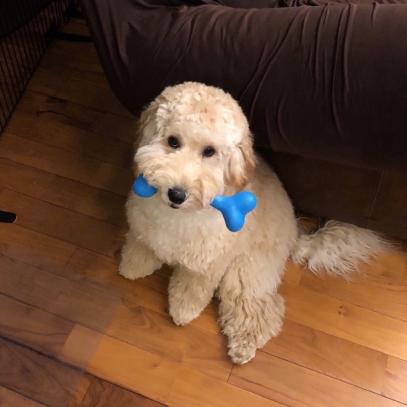 MichikoSeki(Shimizu)