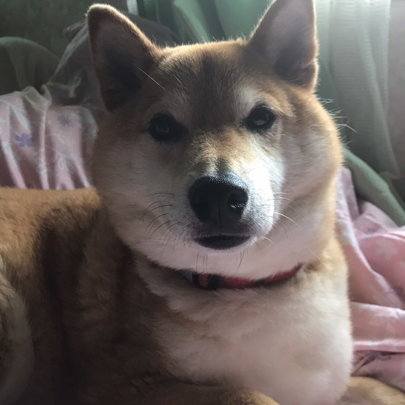 ままちゃん　渡部