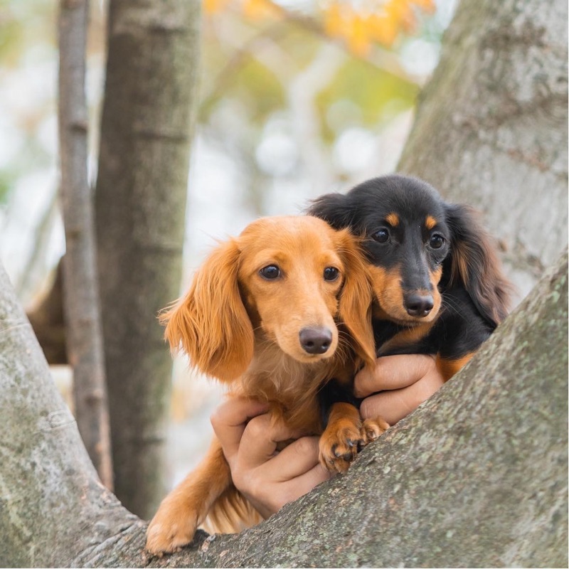 はまちうにママ