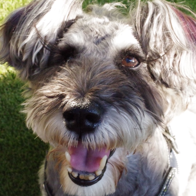 あんどう えりこ