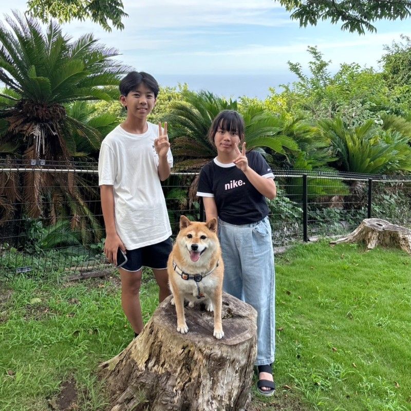 ホリウチマルキ