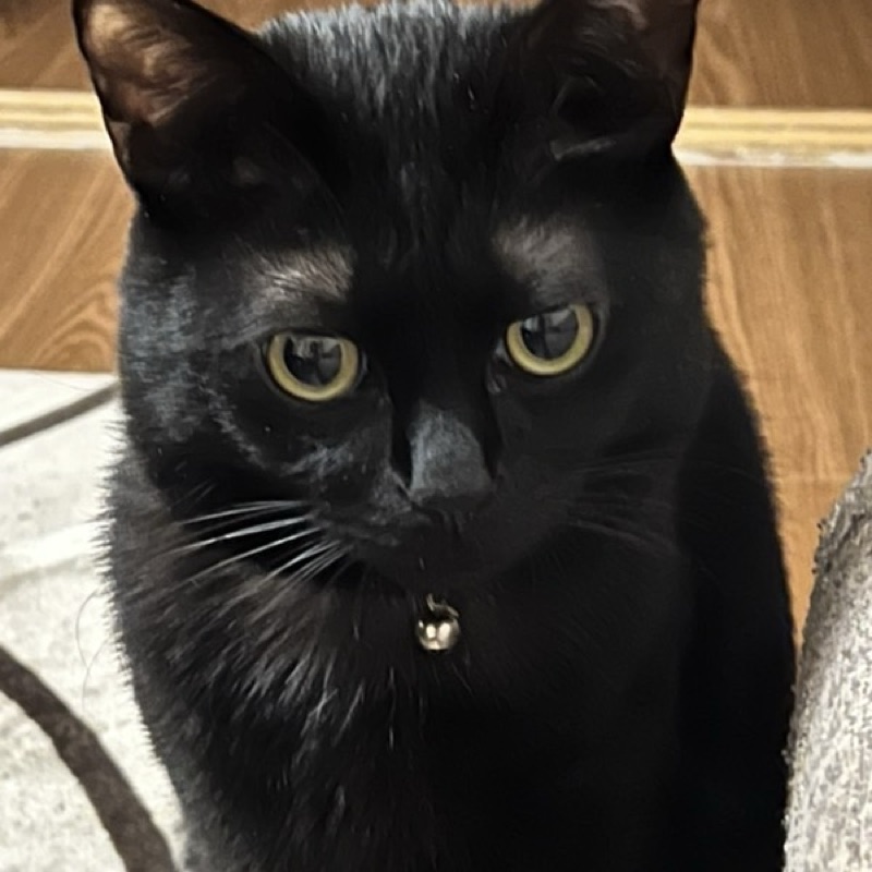 山口なな（直子）