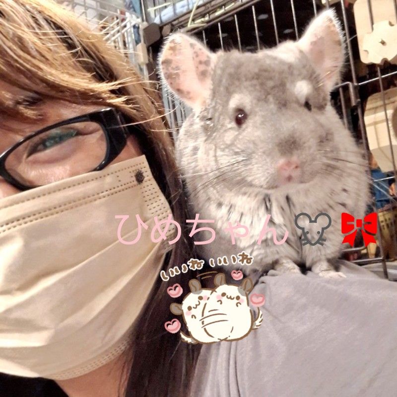 地良せつな@チラ狂い