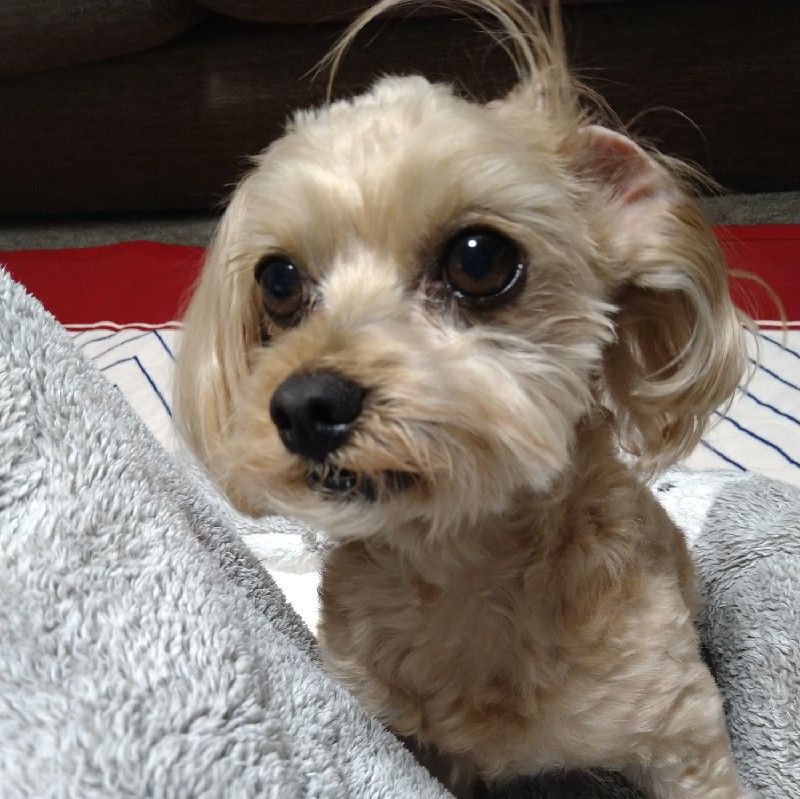 わだ だわ～😊