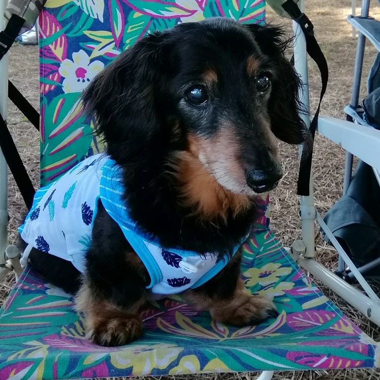 横川(濱中) 万貴