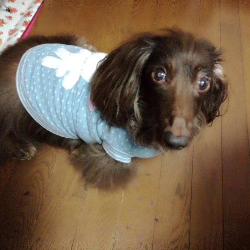 そらスカイブルー