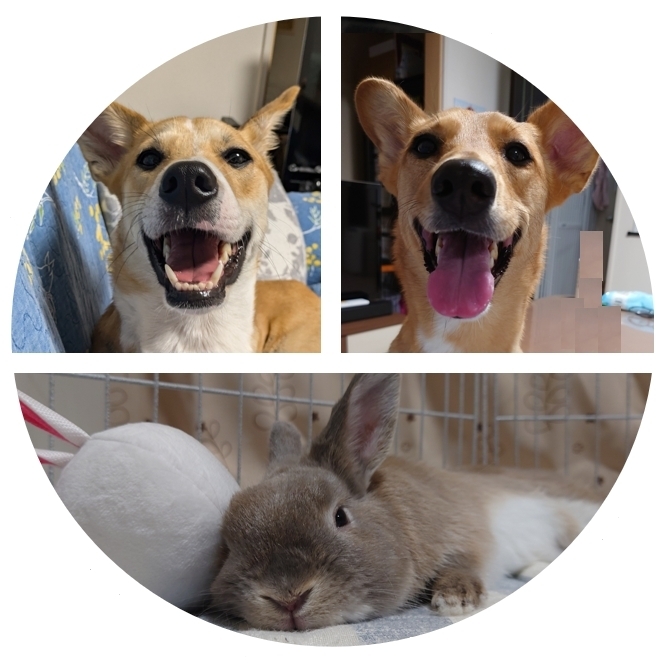 結良と麻鈴のパパママ