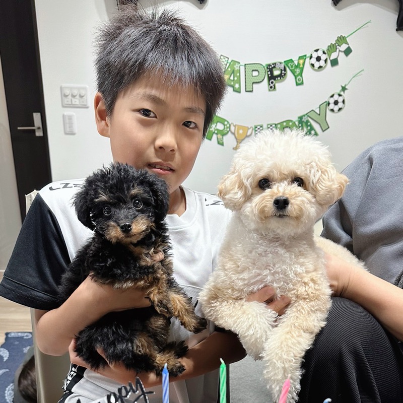 E5zpV958xZv7zPn2TFRR