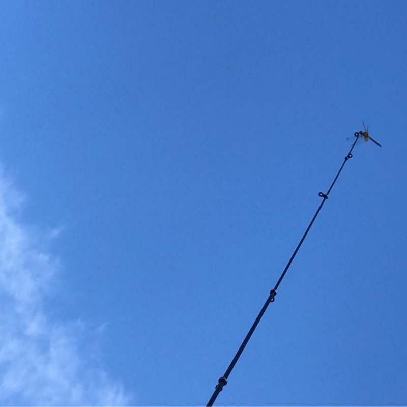 ⚪️○はづきさん◎●光星勇月晴美