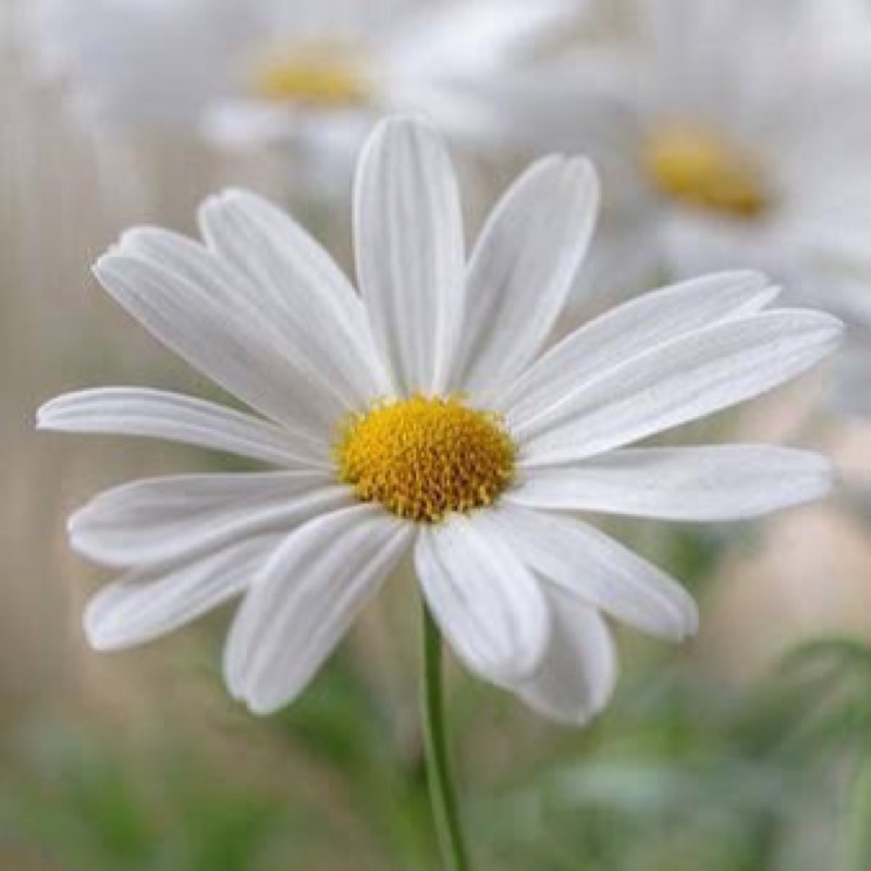 すずきめぐみ♪