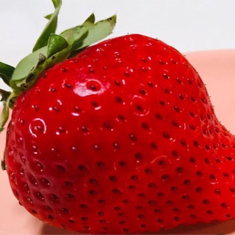 ひがし　ワンハート😸