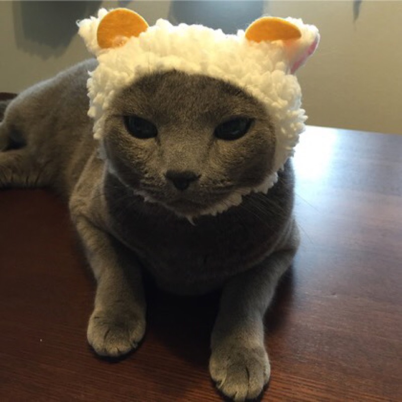 籐寿 TomokoTakahashi