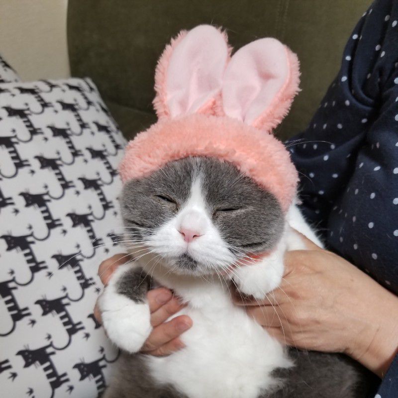 タクジ(野澤卓司)