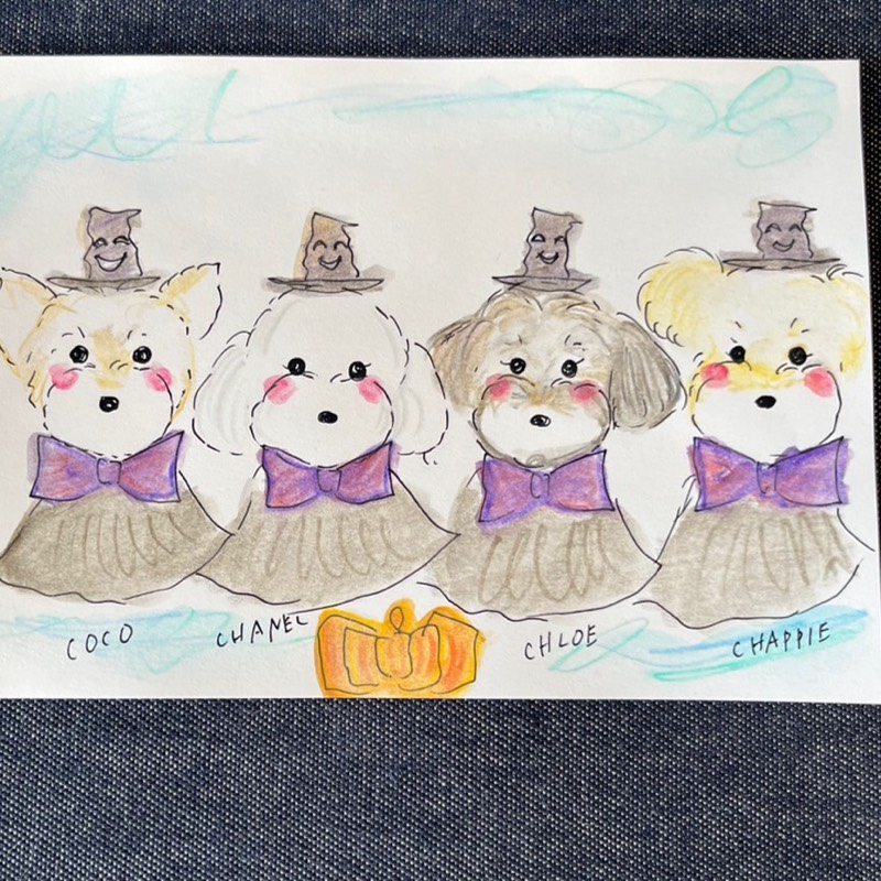 👑princess  devil👑