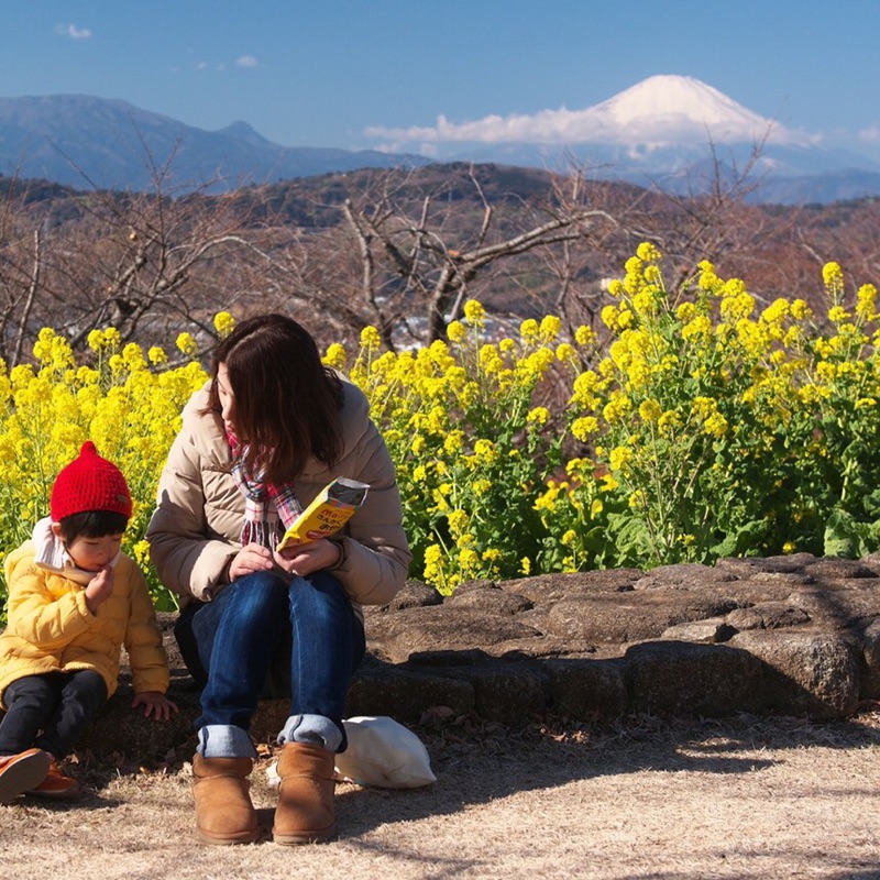 Ikue Katsuma(山口)