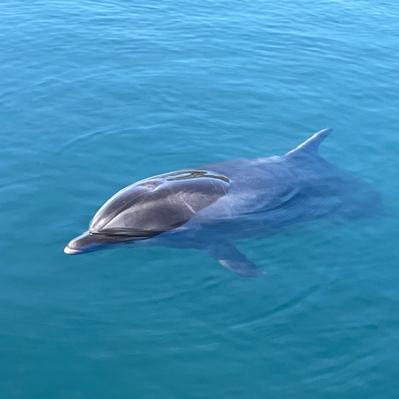 Takeshi Takahira 高平丈
