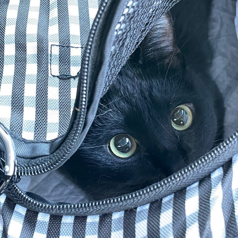 ♡toma(*˘︶˘*).｡.:*♡