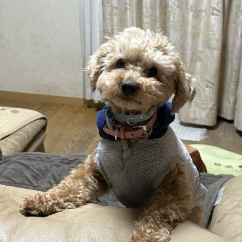 石川裕子