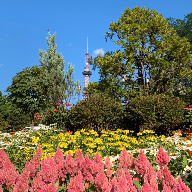 Shoryu ishikawa石川昇龍