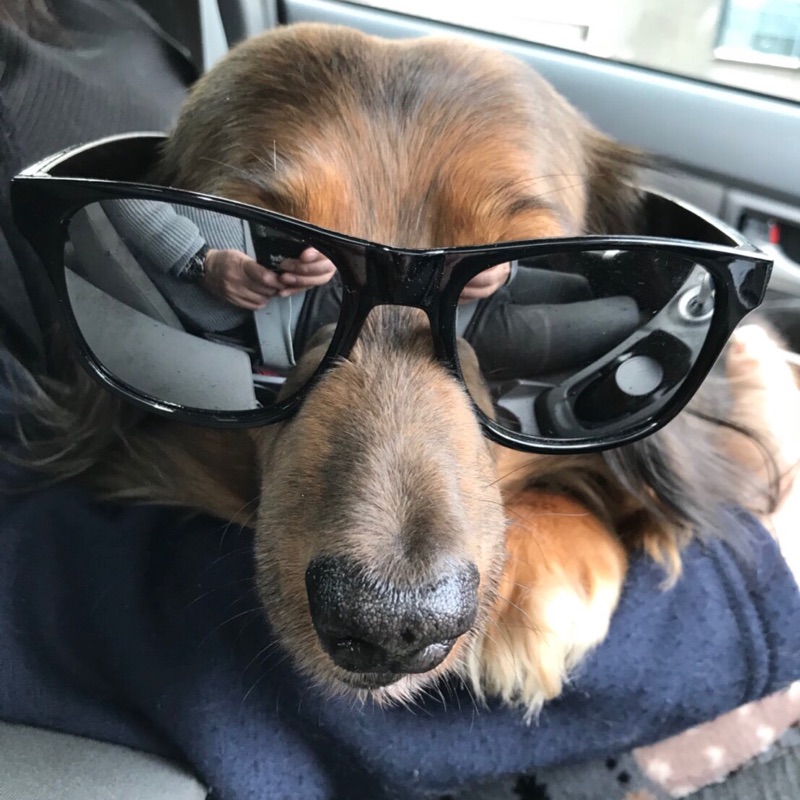 まさる（佐野優子）