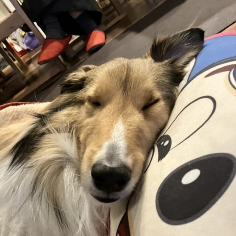 慶一