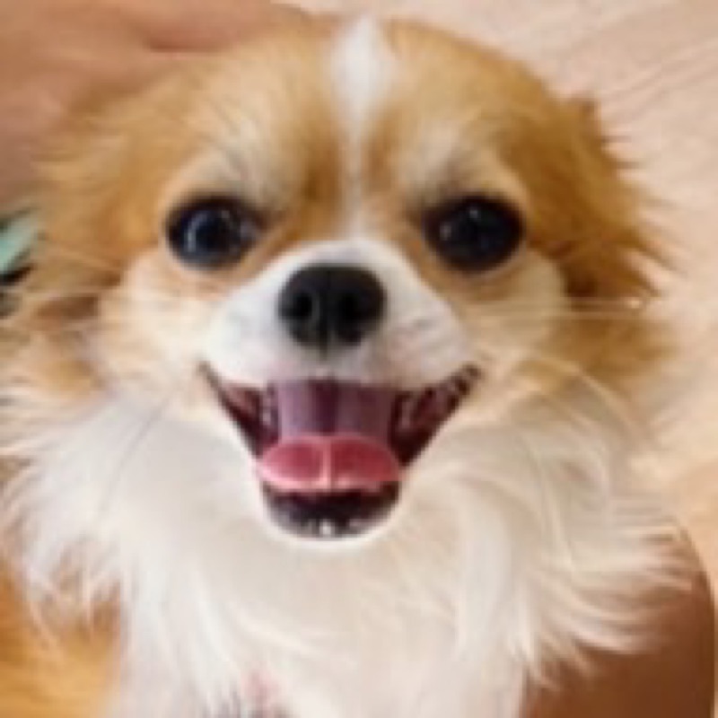 おひろちゃん愛してる