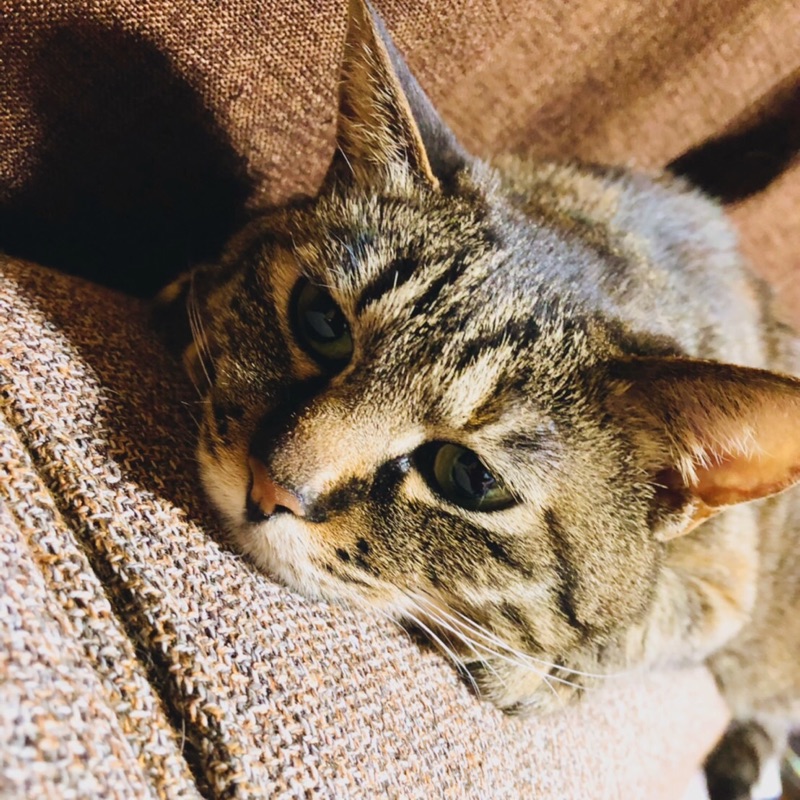 p[ mayu ]q´∀｀*)