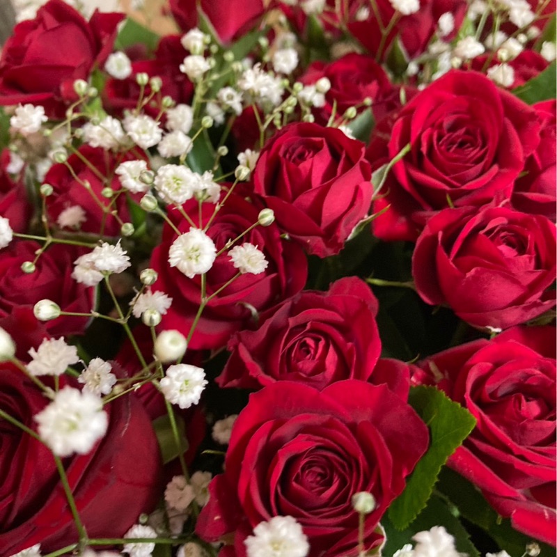 ムラタ  ヒサコ