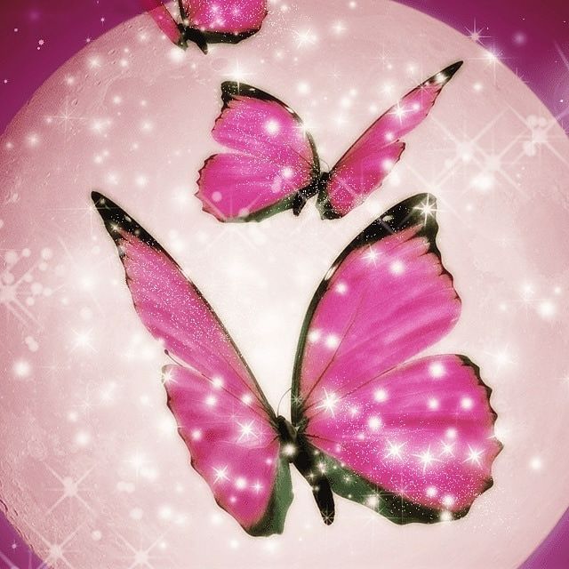 新垣初美🌺(翔・紫・裕)