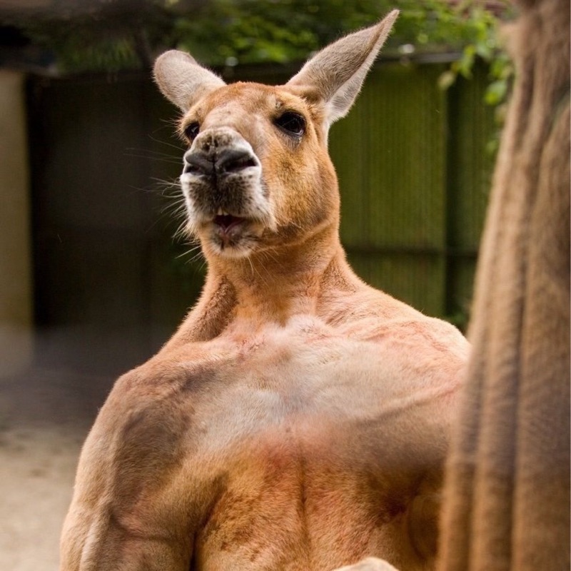 ウエダケンイチ