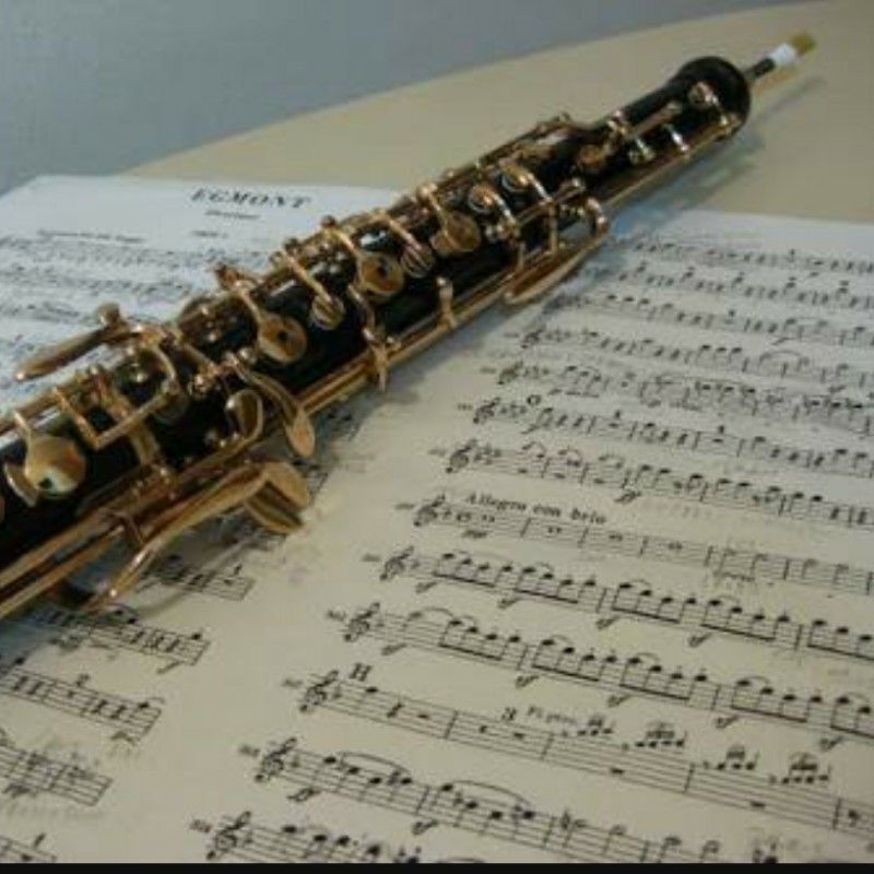 hiroro-hautbois(奥村)