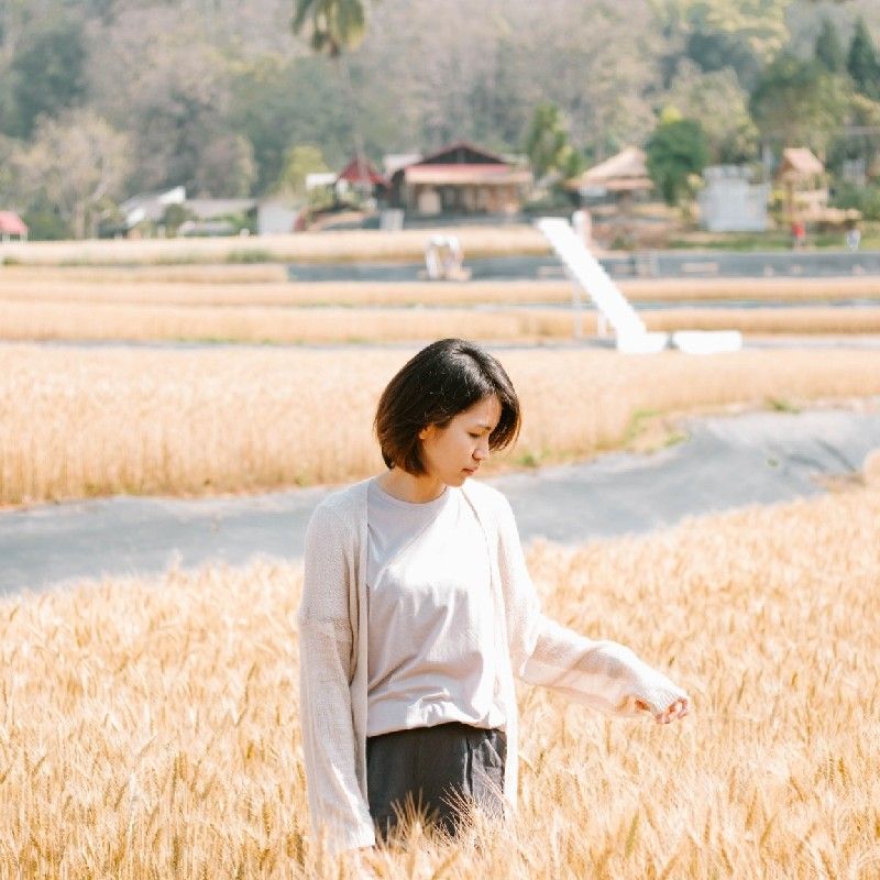 ปีม