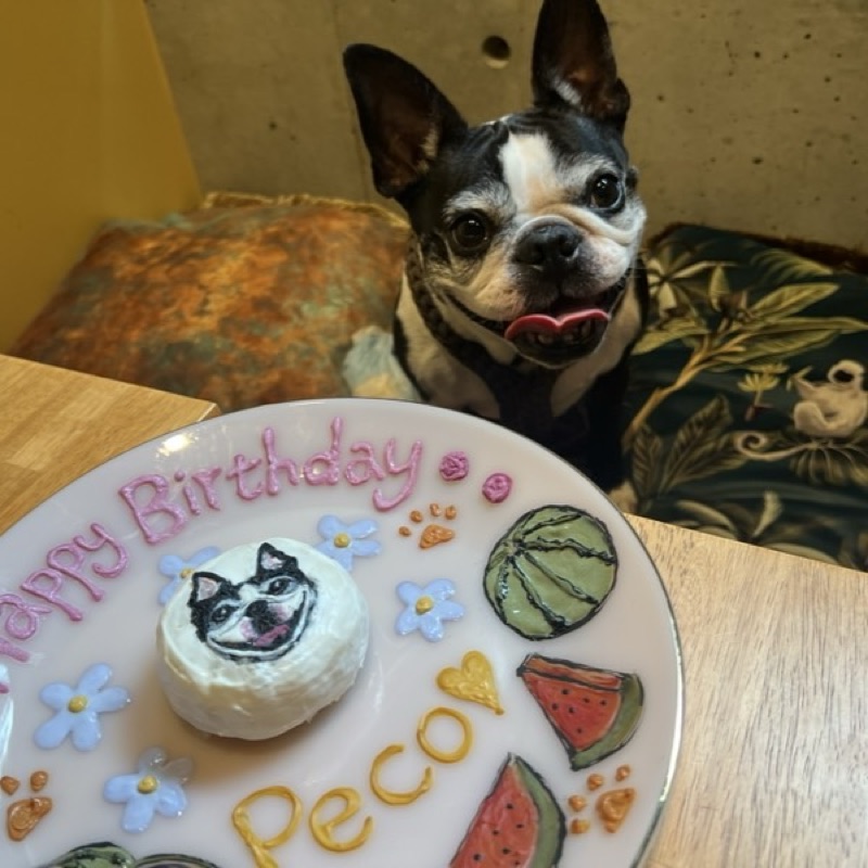 𝓜❀𓈒𓏸︎︎︎︎