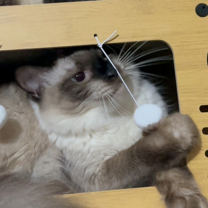 Mïêkð Kµßð†å 💕