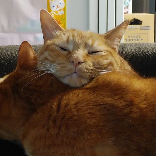 いづみ