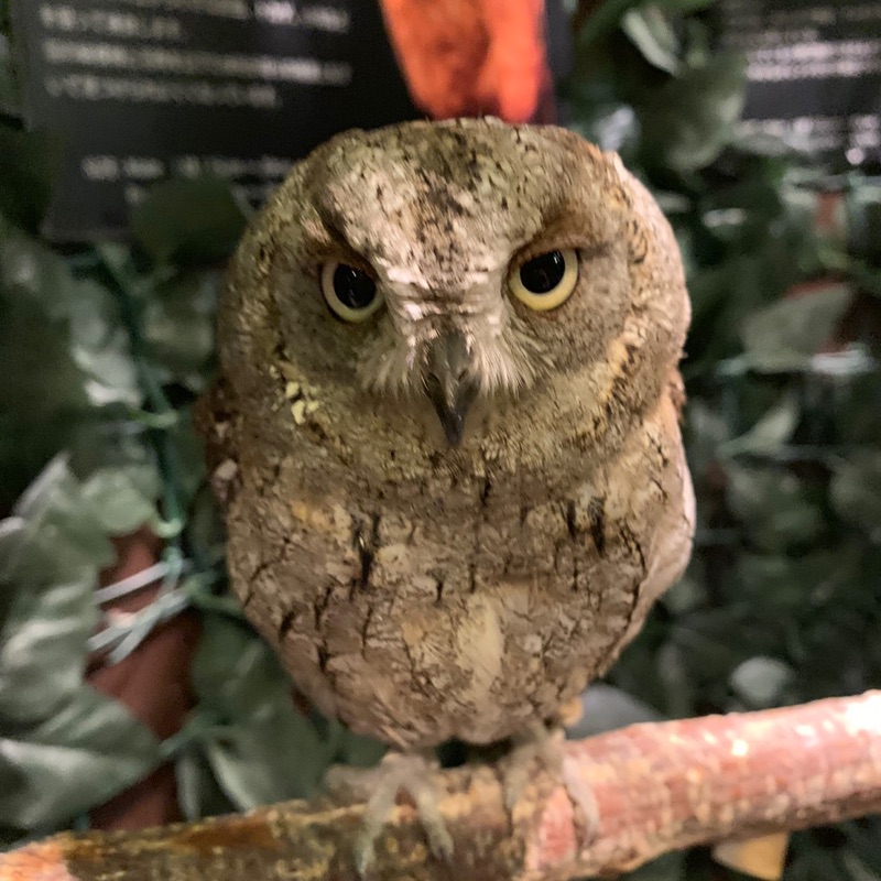 宇智田のよっちゃん