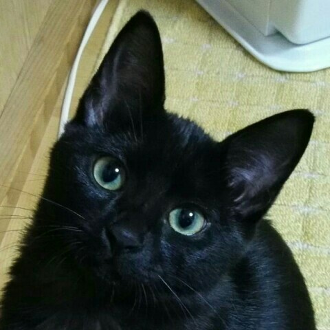 しげ