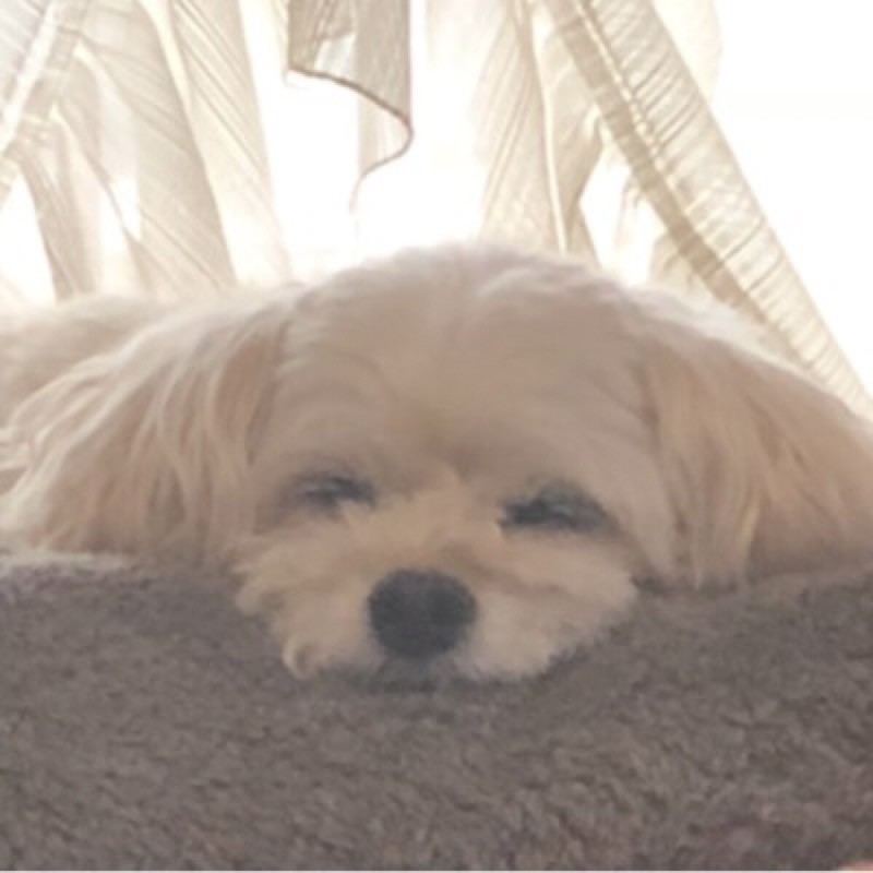 根尾街道れいな