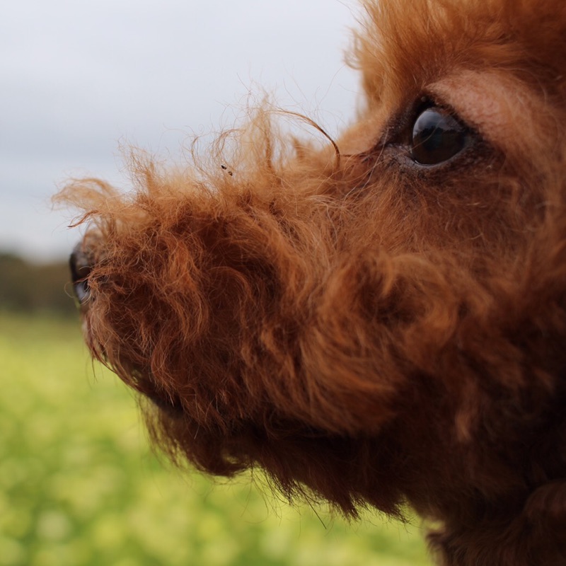 寿子 ▼・ェ・▼