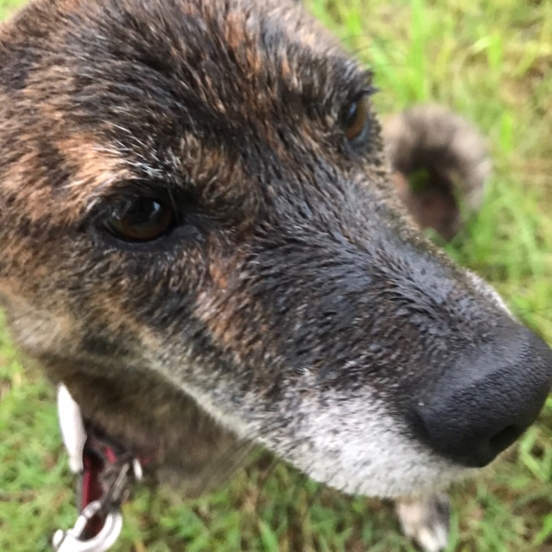 齋藤(川上)佳子