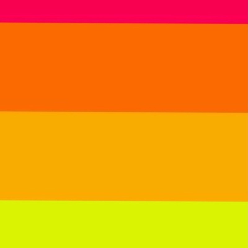 ようこおおにし