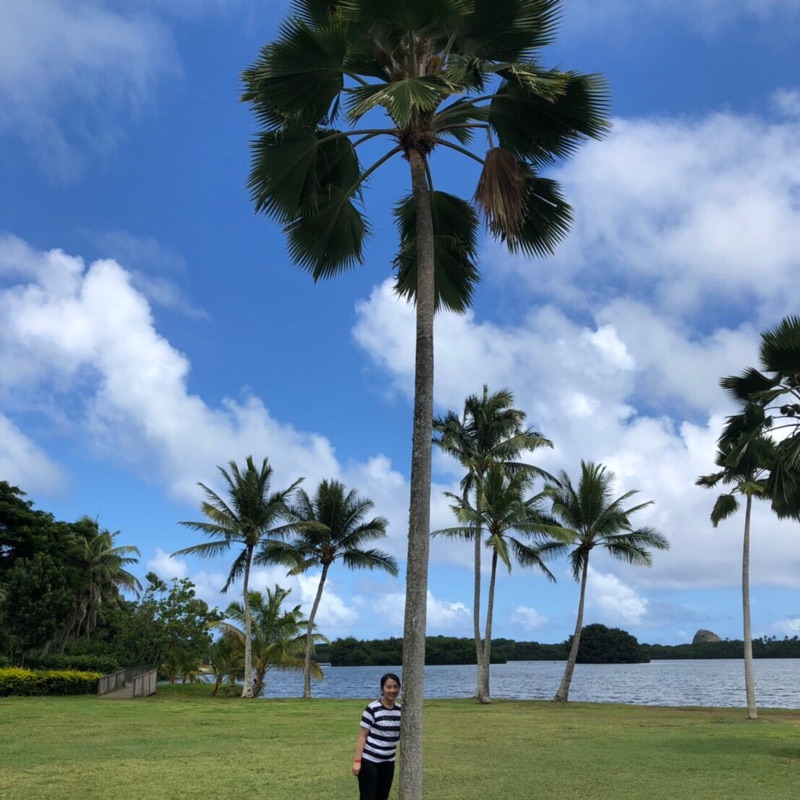 尾渡宏佳（近藤）