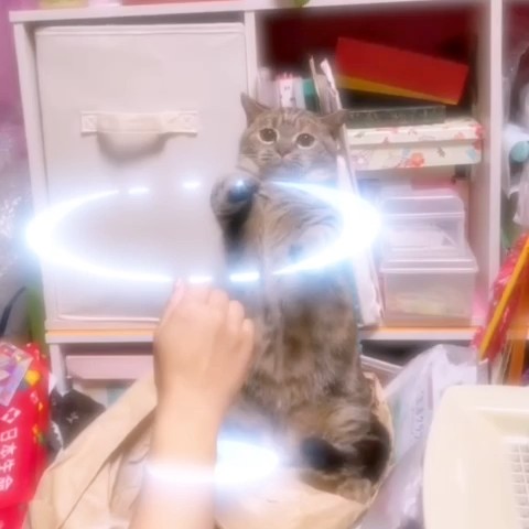 慧寿 ＆ はまごろう