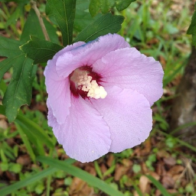 株式会社伯水工務店