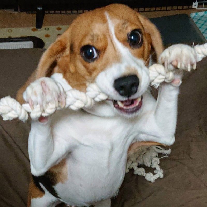 阿部　叶知子・幸子