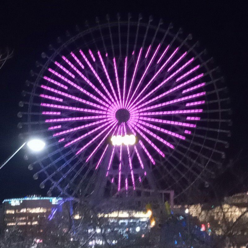 たかはしみゆき