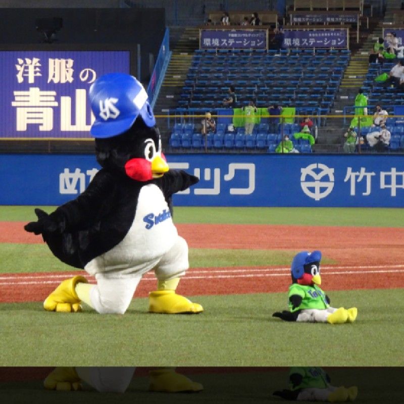 ぱとろーる中の犬