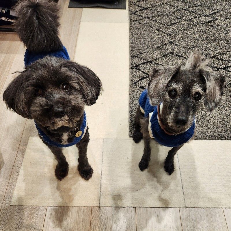 ﾕｷ🐕ﾏﾘﾝ&ｿﾗ