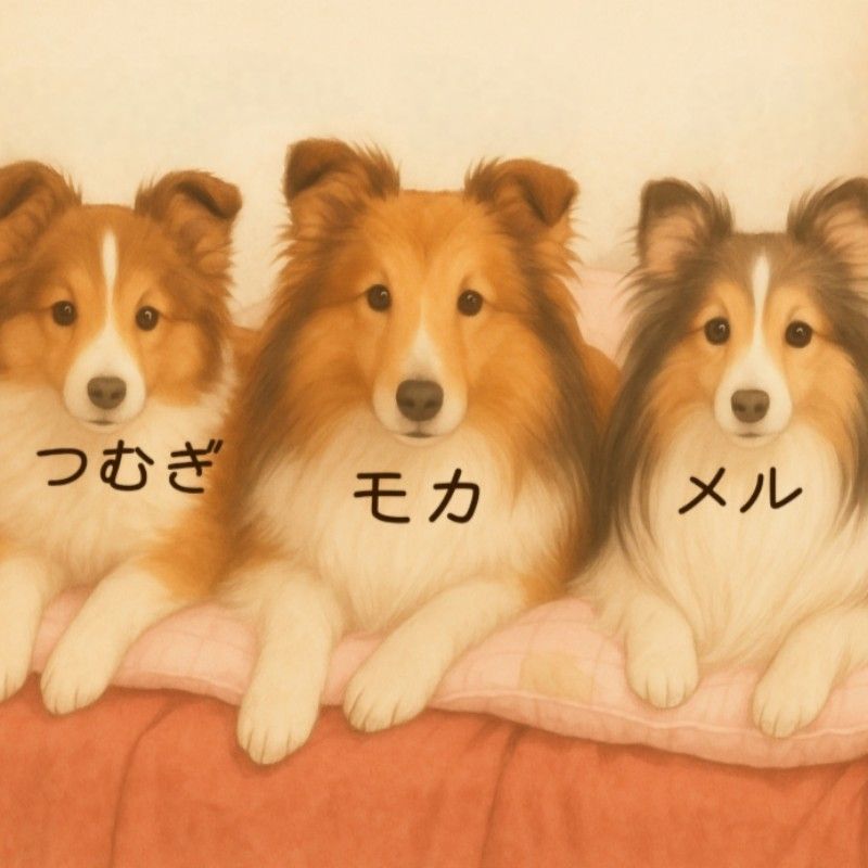 さちこ✨モカ＆ショコラ✨